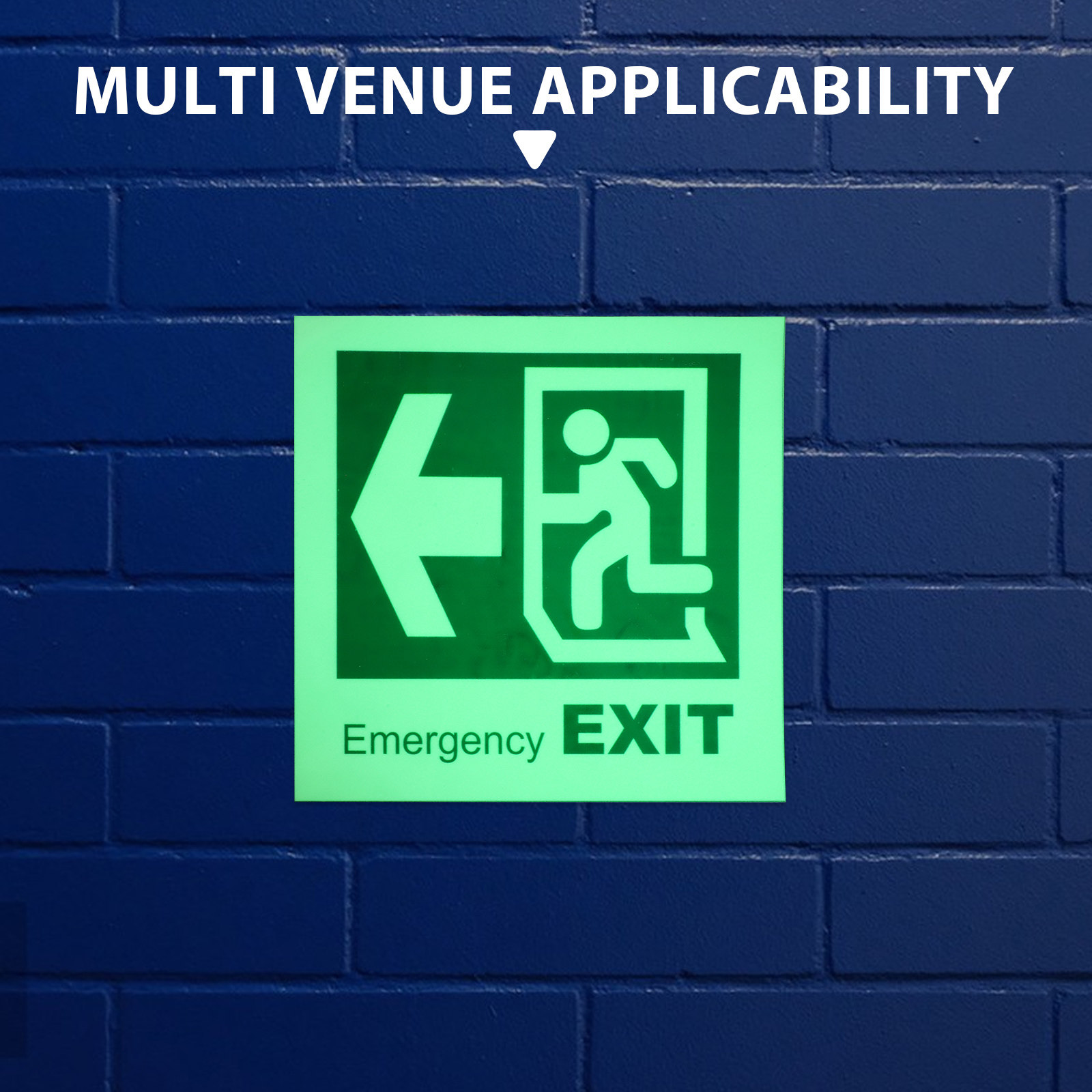 Segnale di uscita di emergenza - Emergency Exit Sign recensione e prezzo