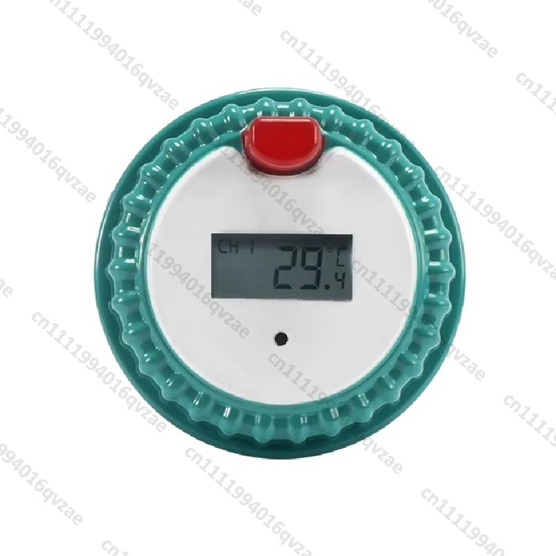 Termometro Wireless per Piscin - Pool Alarm Float recensione e prezzo